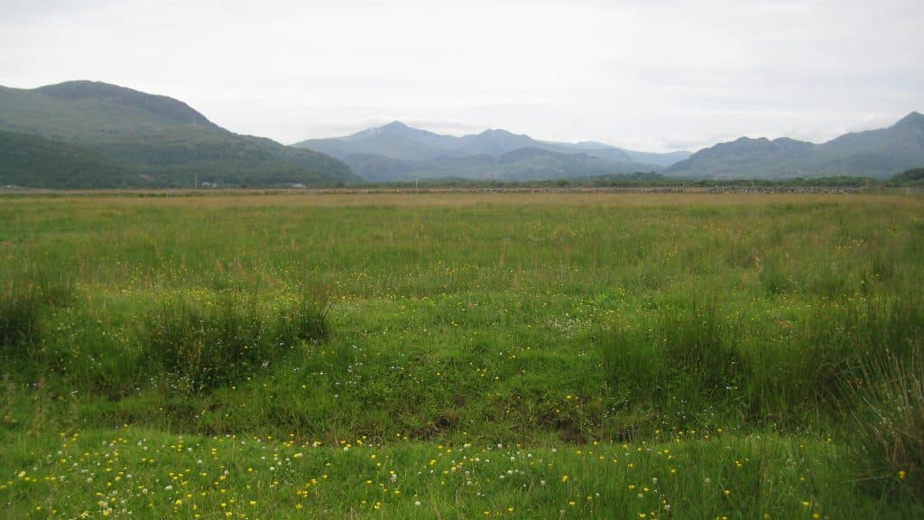 Site of Special Scientific Interest