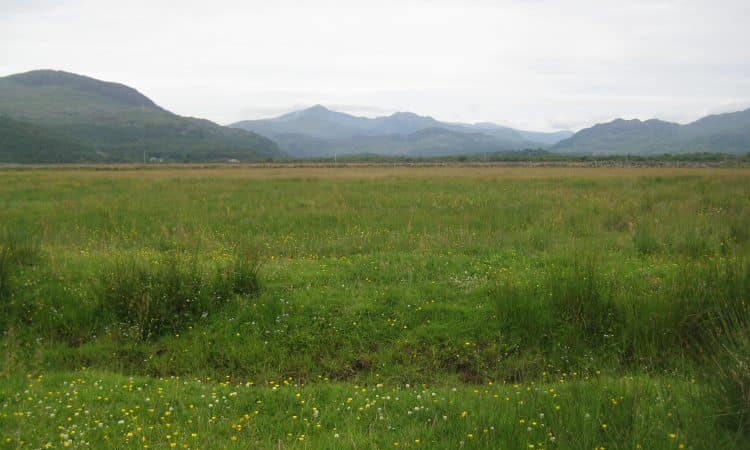 Site of Special Scientific Interest