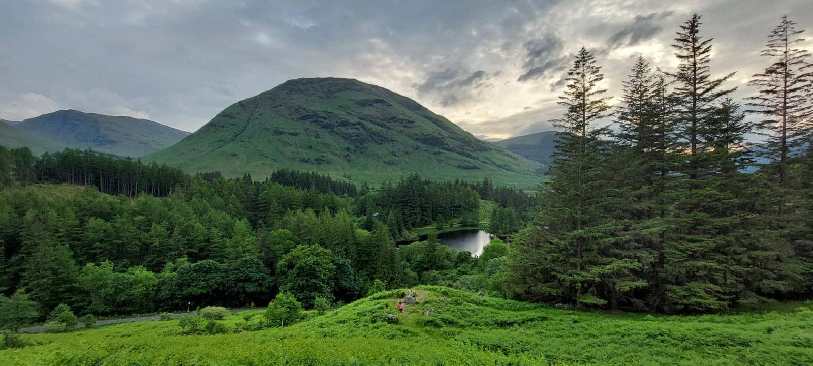 Ammonia Assessments in Scotland